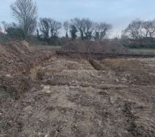 Debut des fondations