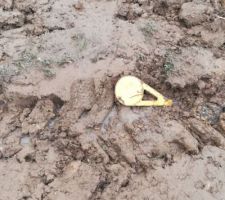 Merci les voisins Est pour travailler sur mon terrain !!!