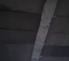 Humidité sur hourdis