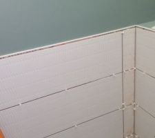 La faïence des toilettes
