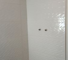 Faïence de la douche