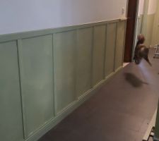 Pose des cimaises, plinthes et tasseau medium