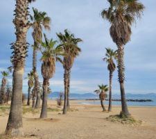 Footing à la plage