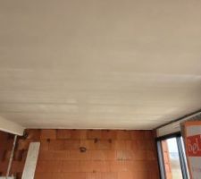Plafond en plâtre