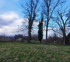 Terrain et lotissement