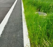 Terrain et lotissement