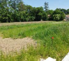 Terrain et lotissement