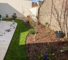 Installation du goutte à goutte et de la guirlande guinguette