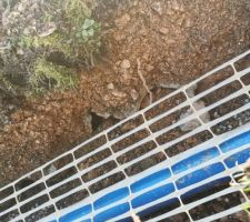 Construction de notre station de phyto&eacute;puration