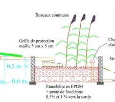 Documents pour phyto-épuration