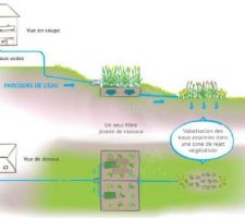 Documents pour phyto-épuration