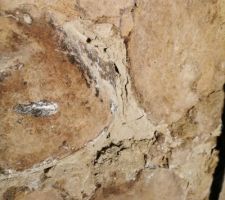 Côté écurie, sous le béton les joints entre les galets partent en poussière