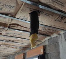 Isolation plafond