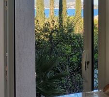 Vue après debrousaillage