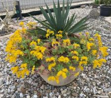 Le jardin se réveille pour le plaisir des yeux