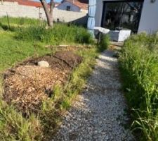 La 1e année, on a surtout observé ce qui se passait sans trop intervenir. Nous avons d'abord planté deux noisetiers, une courte haie mélangée persistante et donnant des graines pour les oiseaux, et nous avons tracé des petits chemins plus ou moins droits. Celui qui mène de la maison à l'abri de jardin a été recouvert de cailloux mais les autres sont seulement tondus.A l'automne, j'ai ajouté des semis de jachère mellifère qui ont transformé un massif en une véritable mini-prairie !