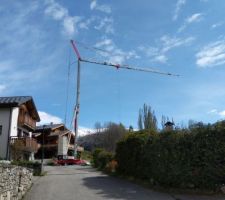 La grue est debout ! - CC-BY-NC-SA