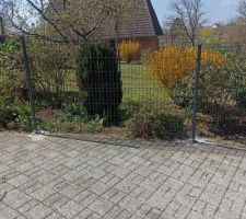 Installation du grillage