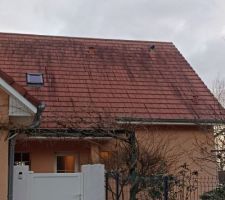 Nettoyage toiture ...
