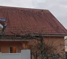 Nettoyage toiture ...