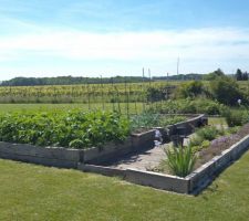 Plantations en pleine expansion malgré le vent des derniers jours