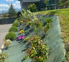 Le talus de l'entr&eacute;e au Nord