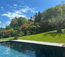 Piscine et clôture