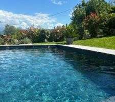 L'&eacute;t&eacute; approche et la v&eacute;g&eacute;tation s'&eacute;veille...