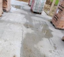 Les nombreuses fissures de retrait visibles suite &agrave; l'averse de l'apr&egrave;s-midi