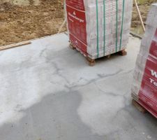 Les nombreuses fissures de retrait visibles suite &agrave; l'averse de l'apr&egrave;s-midi