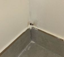 Moisissure après 2 traitements et plusieurs couches de peinture