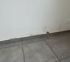 Moisissure après 2 traitements et plusieurs couches de peinture