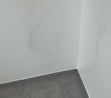 Moisissure après 2 traitements et plusieurs couches de peinture