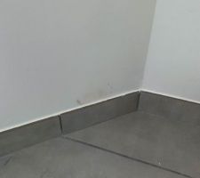 Moisissure après 2 traitements et plusieurs couches de peinture