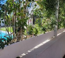 Pose de planches creusées blanc en bas de la structure de séparation avec les voisins