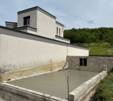 Dalle extension