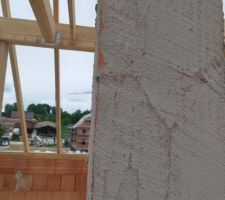 Conduit de cheminée