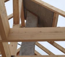 Conduit de cheminée