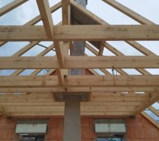 Conduit de cheminée