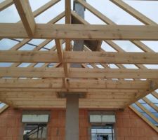 Conduit de cheminée