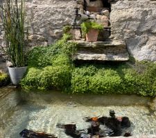 Le lavoir est régulièrement nettoyé car les algues y poussent rapidement. L?étanchéité au sika (couleur grise) a l?intérieur tient toujours. On y a toujours une réserve de bières !