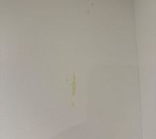 Tache peinture