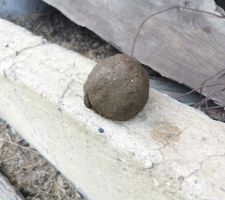 Boule d'argile humide...
