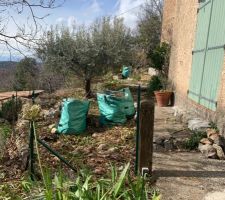 D&eacute;broussaillage