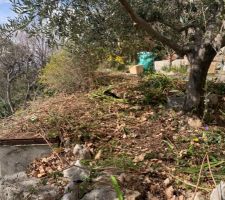 D&eacute;broussaillage