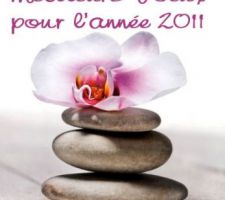 Voeux 2011.