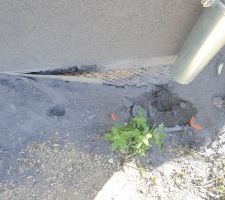 Descente de gouttière bouchée par l'enduit et pose sur delta MS