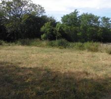 Vue du bois, vers le nord