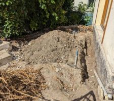 Presque toutes les racines ont disparu.