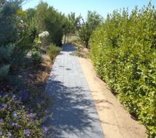 Apport de sable sur le côté du chemin : fini le dénivelé avec une marche trop haute